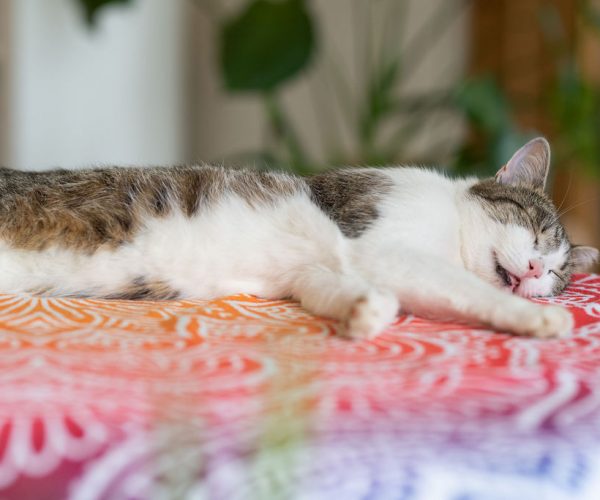 Katharina Axmann Photography