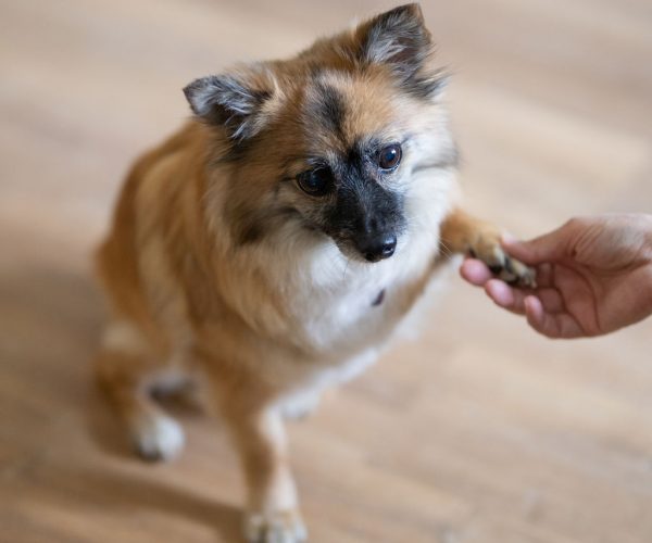 Katharina Axmann Photography