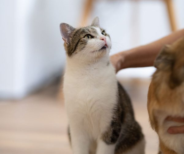 Katharina Axmann Photography